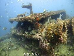 Gibraltar Wreck, deteriorating over time due to weather by Tim Dobbs 